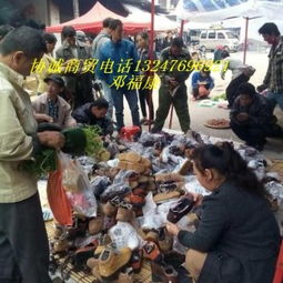 協(xié)誠商貿(mào) 深圳寶安區(qū)松崗的專業(yè)新奇特產(chǎn)品批發(fā)貿(mào)易伙伴